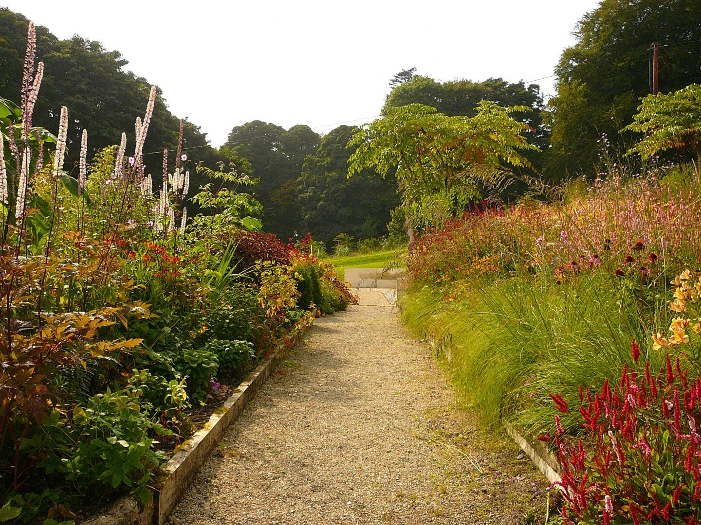 Flourishing flower beds