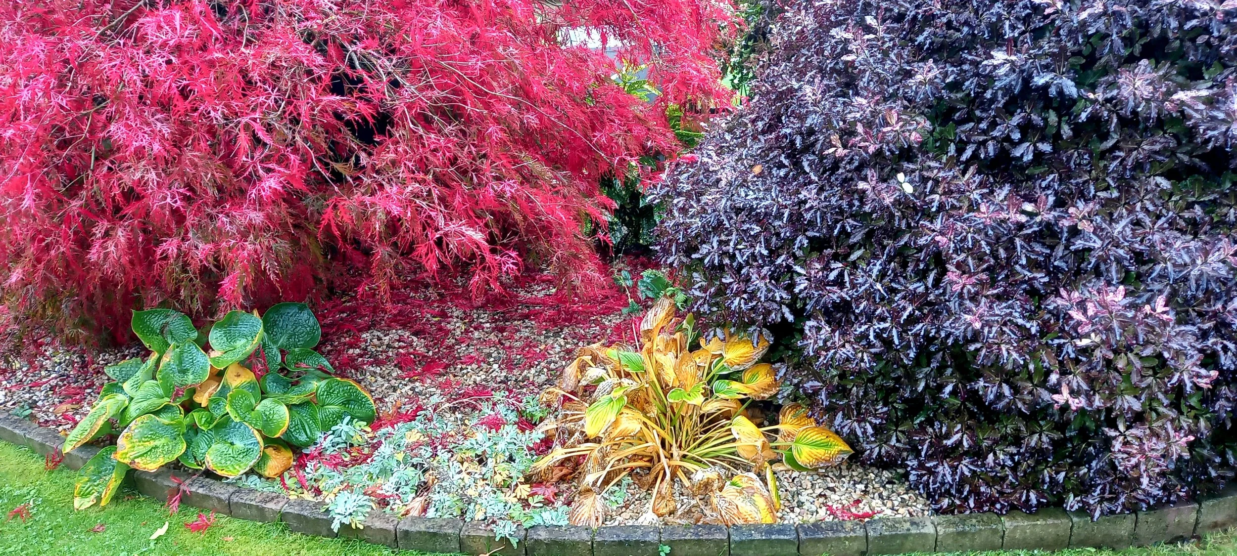 Compendium of colours all competing for space and light