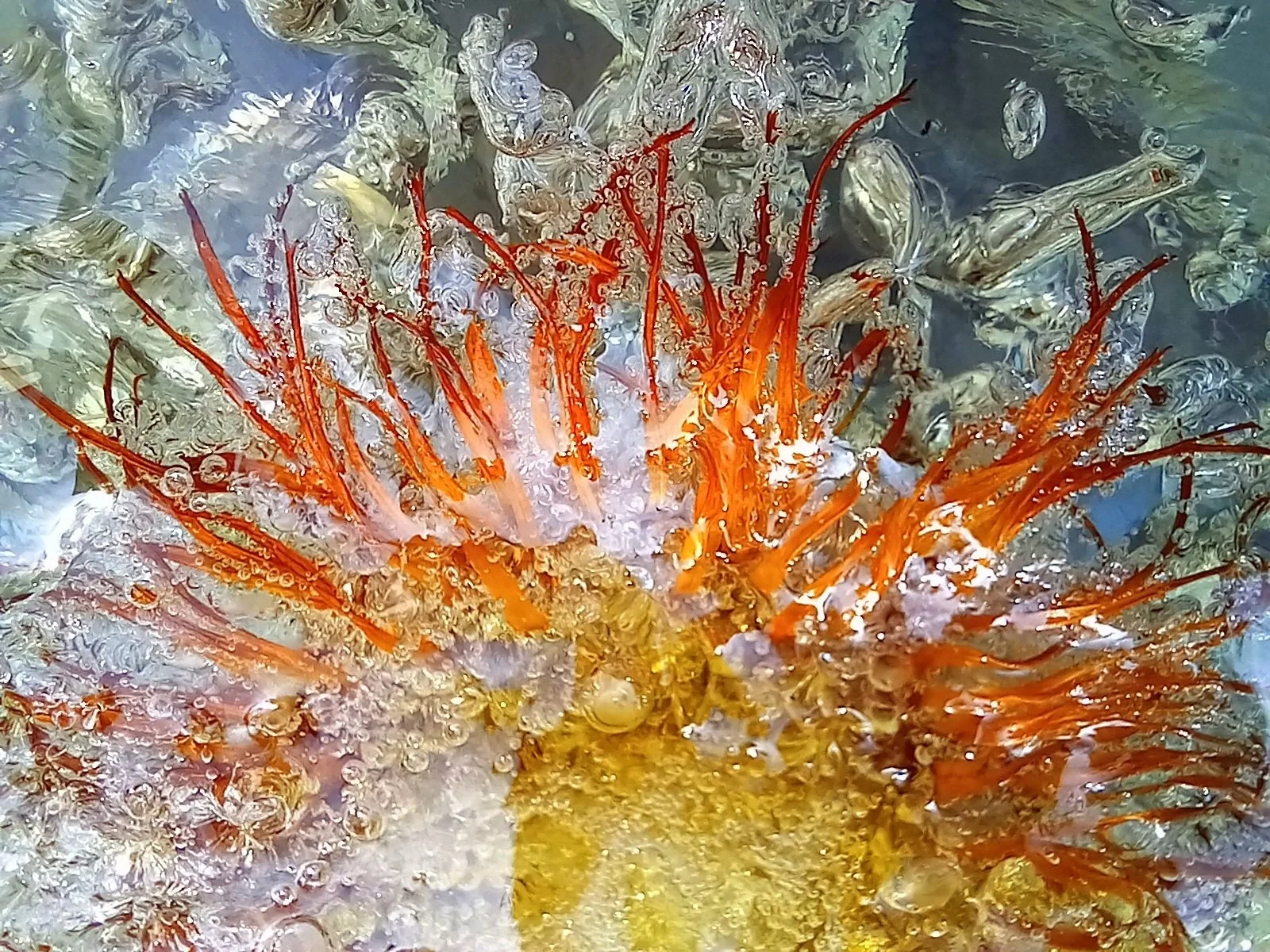 Overheated resin going mad