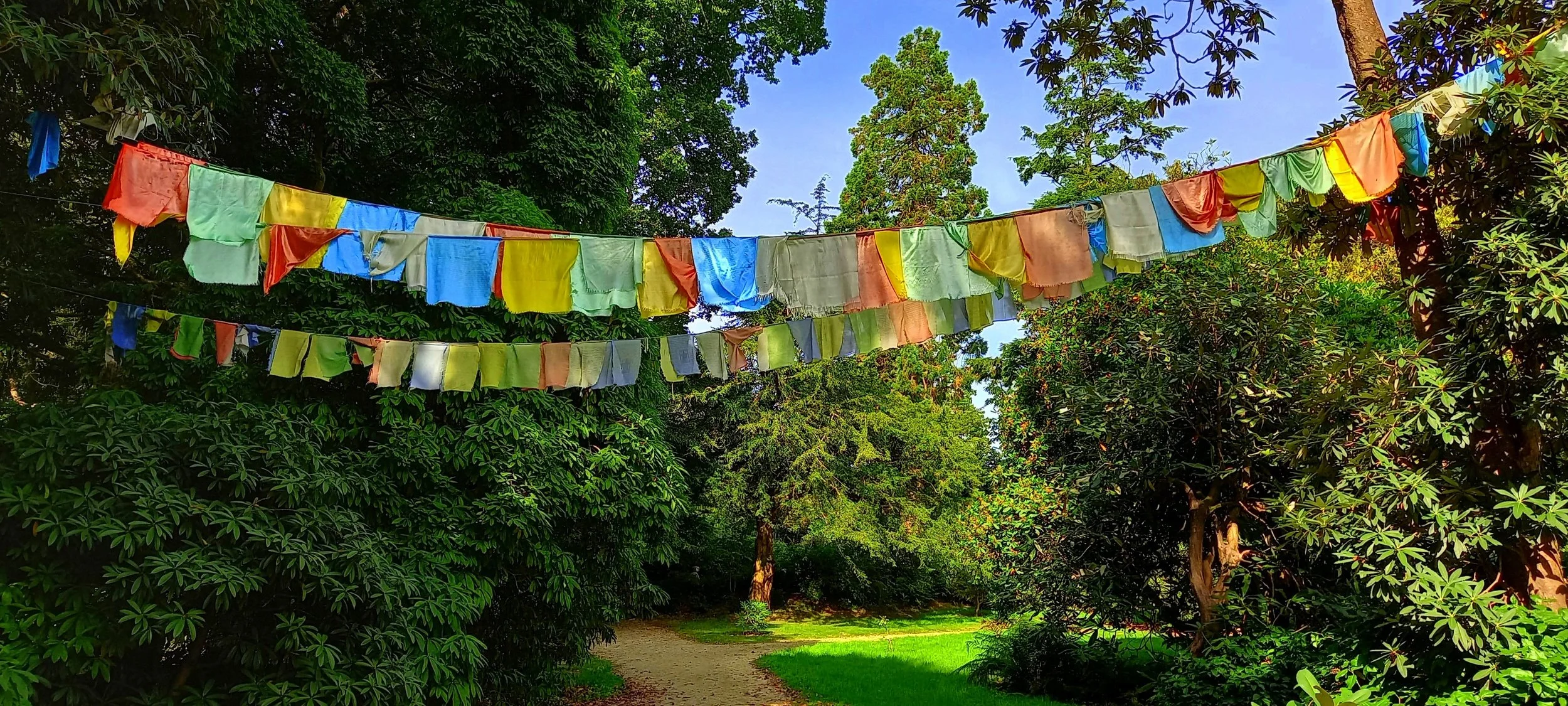 Kilmacurragh Gardens