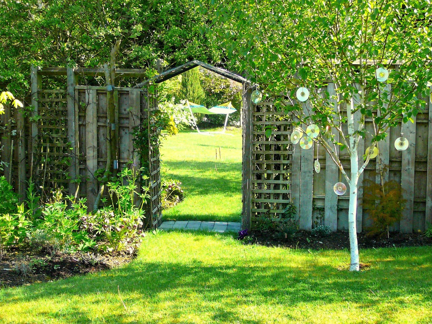 Reflection from mirrored panel on fence in garden, aka 'secret garden' behind!