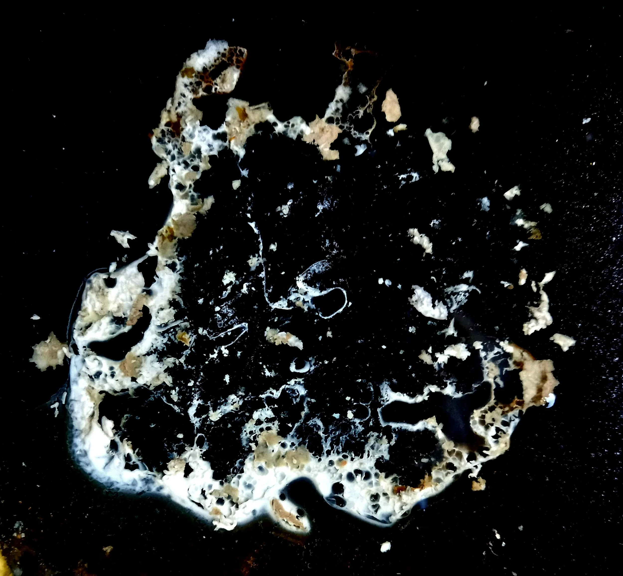 Total mystery. Space debris perhaps?