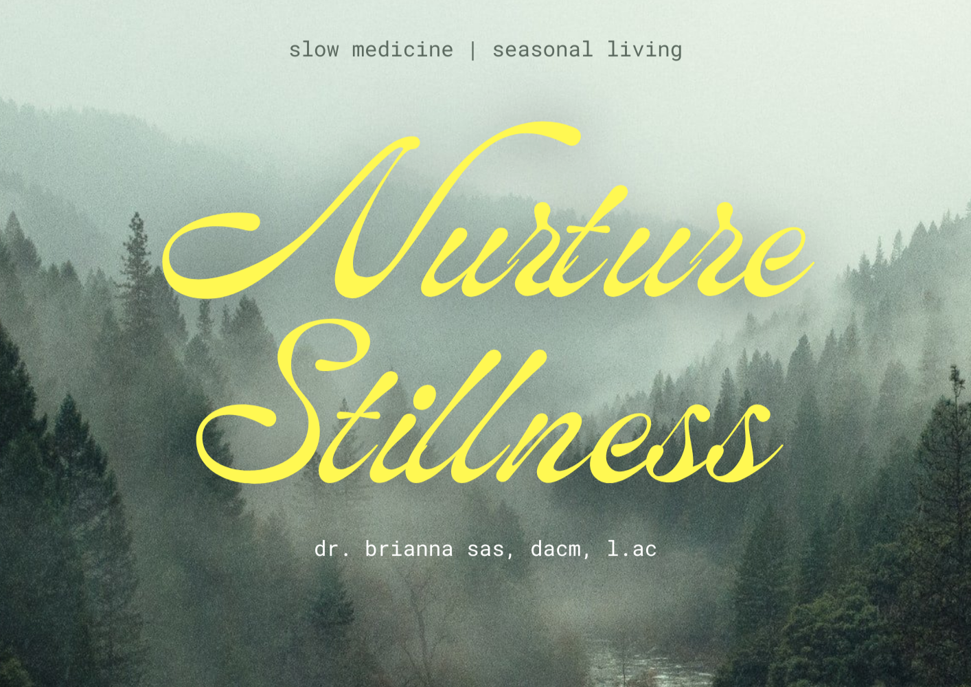 Nurture Stillness