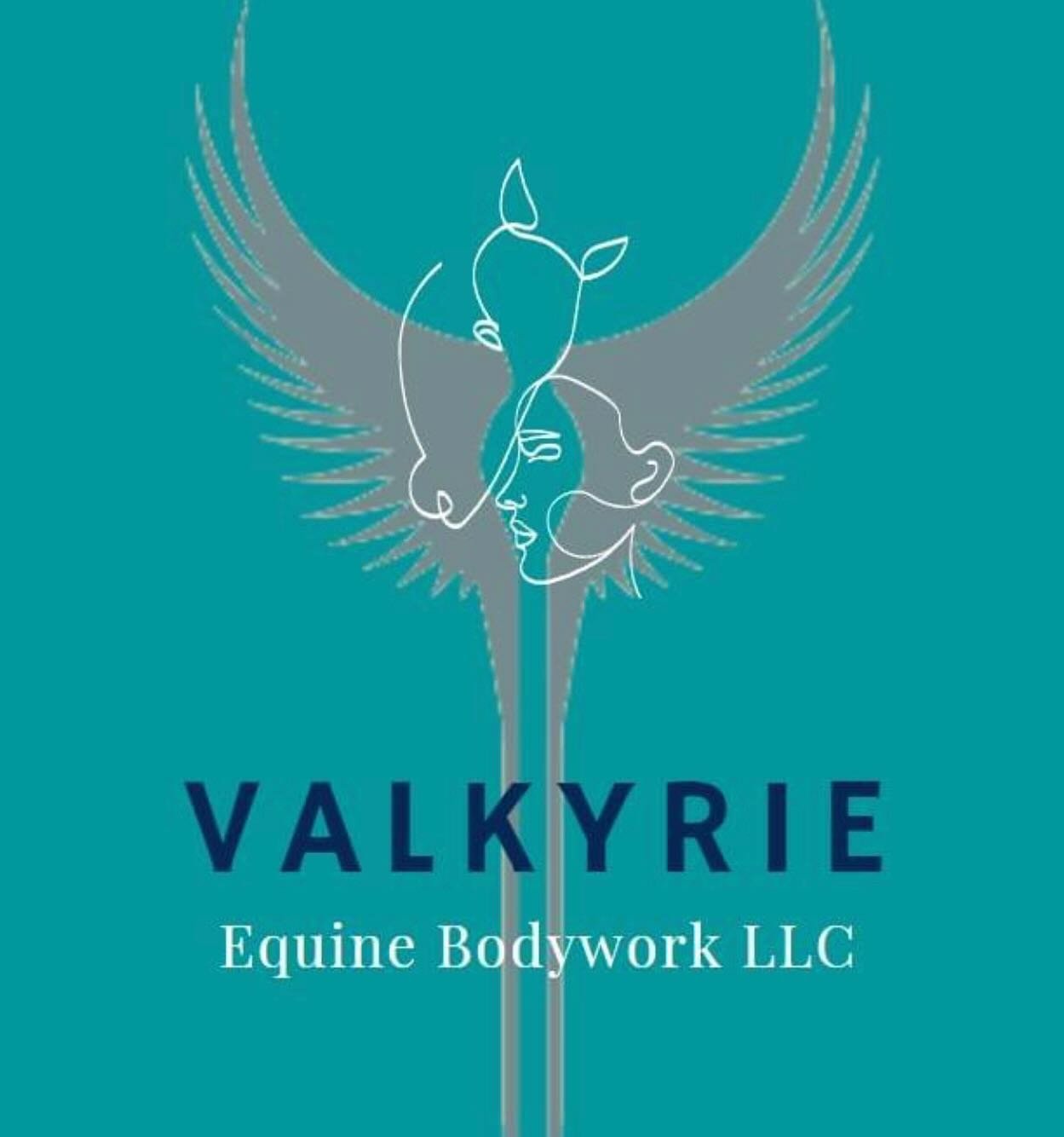 My Instagram for Valkyrie Equine Bodywork is officially live! Please follow my page for news and updates (like becoming MMCP certified)!