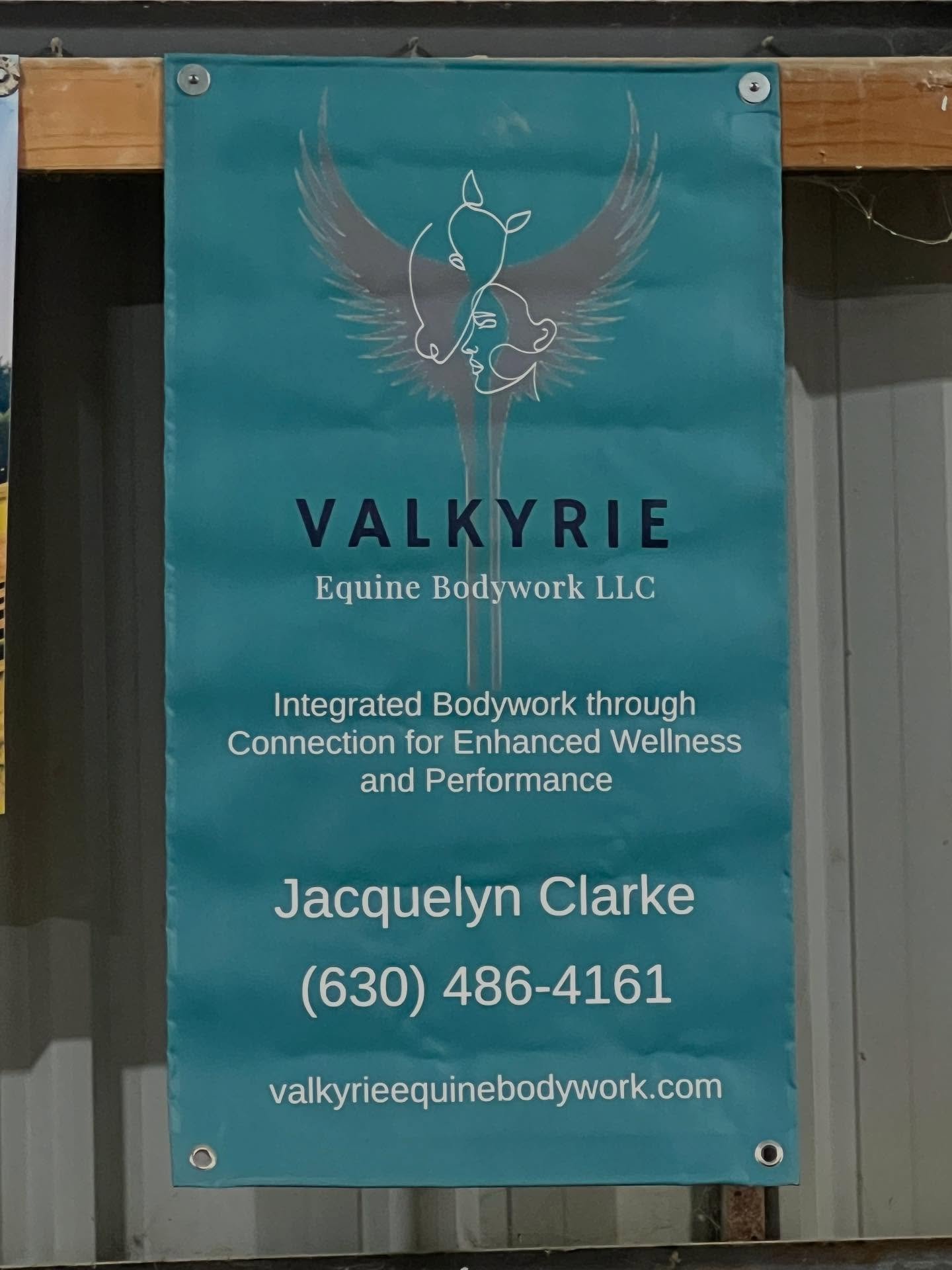 So surreal to see my banner up at Fox Valley Saddle Association as a proud sponsor of this amazing facility ❤️ looking forward to hosting some demos and workshops in the near future!
#valkyrieequinebodywork
#biodynamicintegrationandrebalancing
#sp