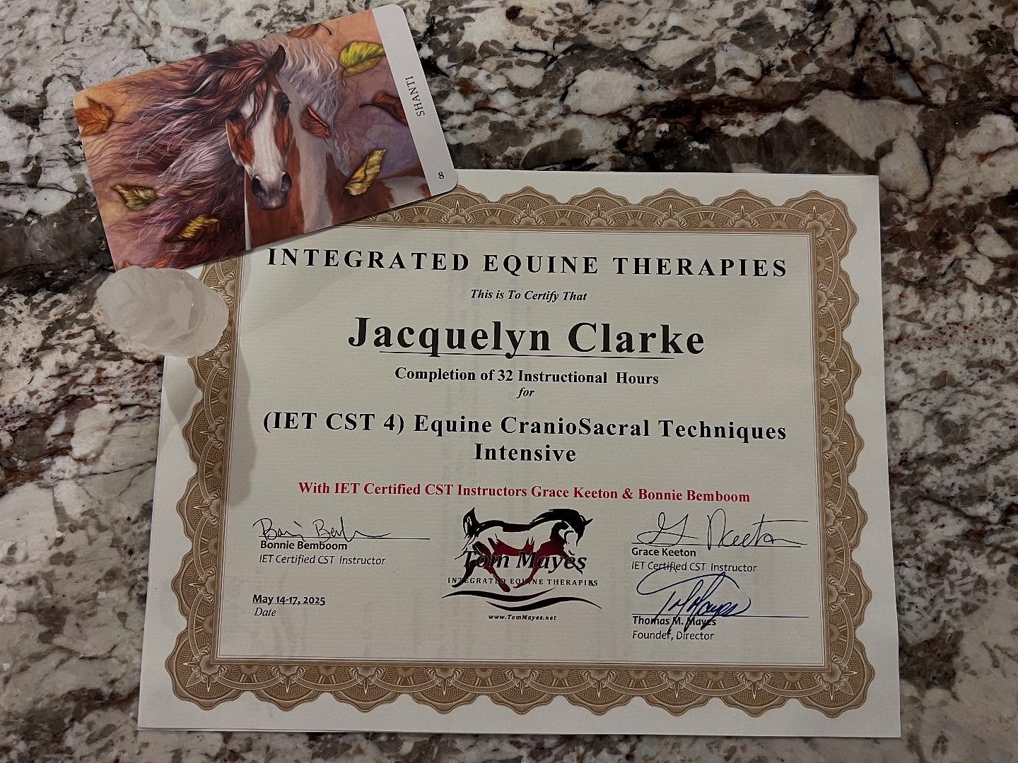 What an incredible four days of delving DEEP into equine craniosacral with @tommayes_iet IET CST course, taught by the amazing @nova_equine_renovations and Bonnie Bemboom. When I signed up, I thought it would be a refresher on craniosacral. Little di