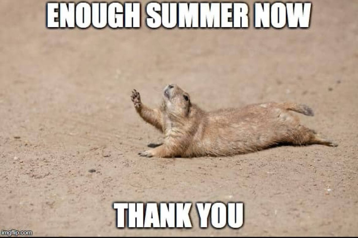 To all of my clients - I apologize in advance for the sweaty mess I&rsquo;ll be during summer 😅 even though I look like I may pass out, I promise I&rsquo;m fine!

#toohot
#notasummerperson 
#valkyrieequinebodywork