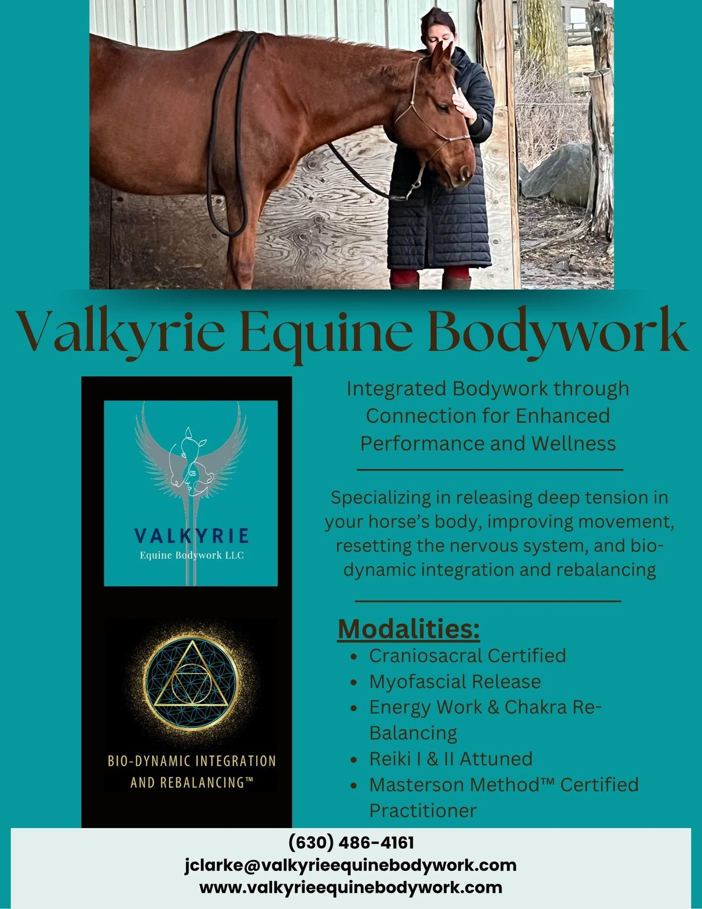 August is booking fast!
Now that we have survived the heat and humidity of July, it is a perfect time to help your horse rebalance their system. The heat and humidity does take a toll on their health, and ensuring their body is functioning properly