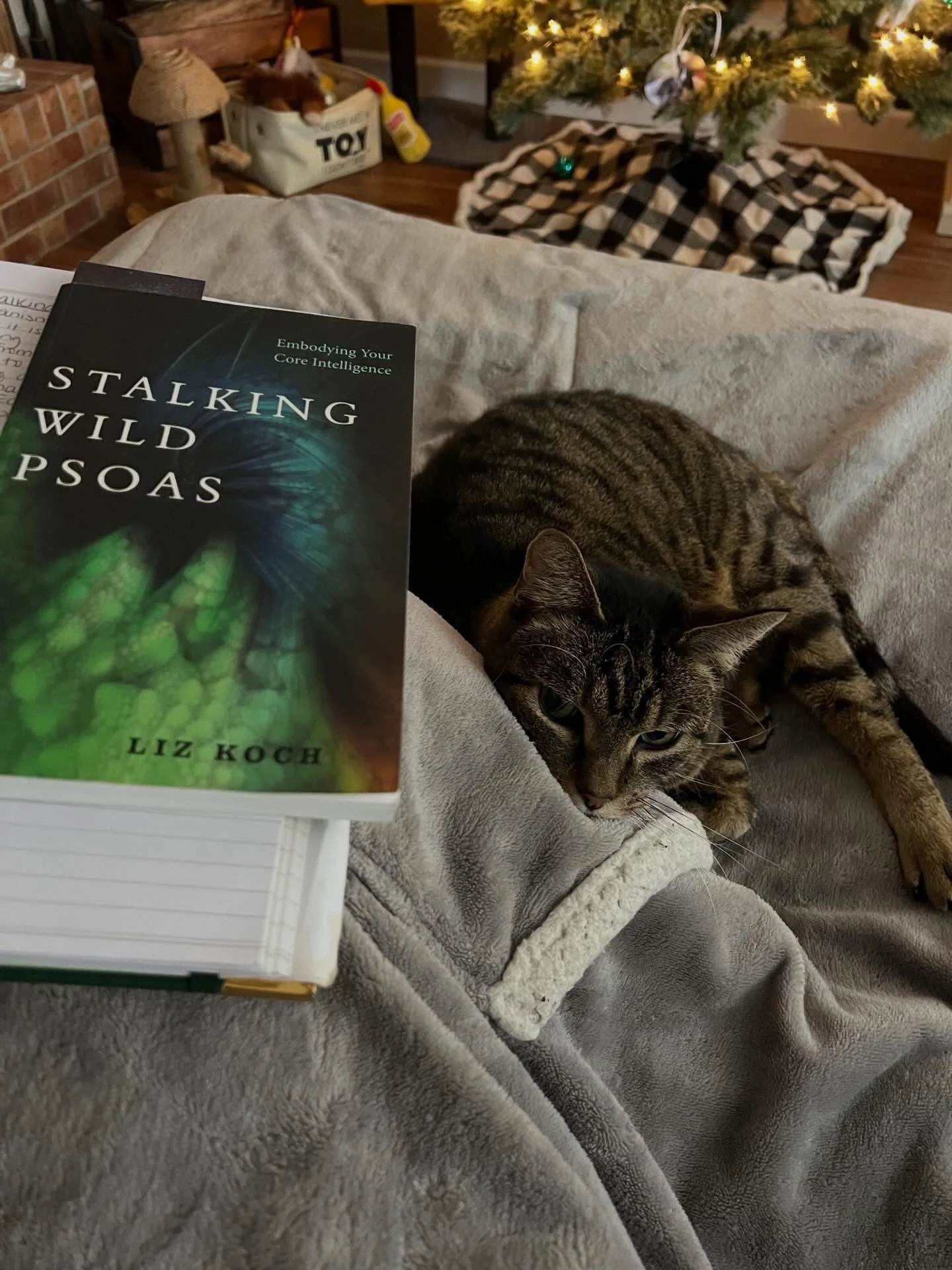 My study buddy for this snowy morning 📖📚