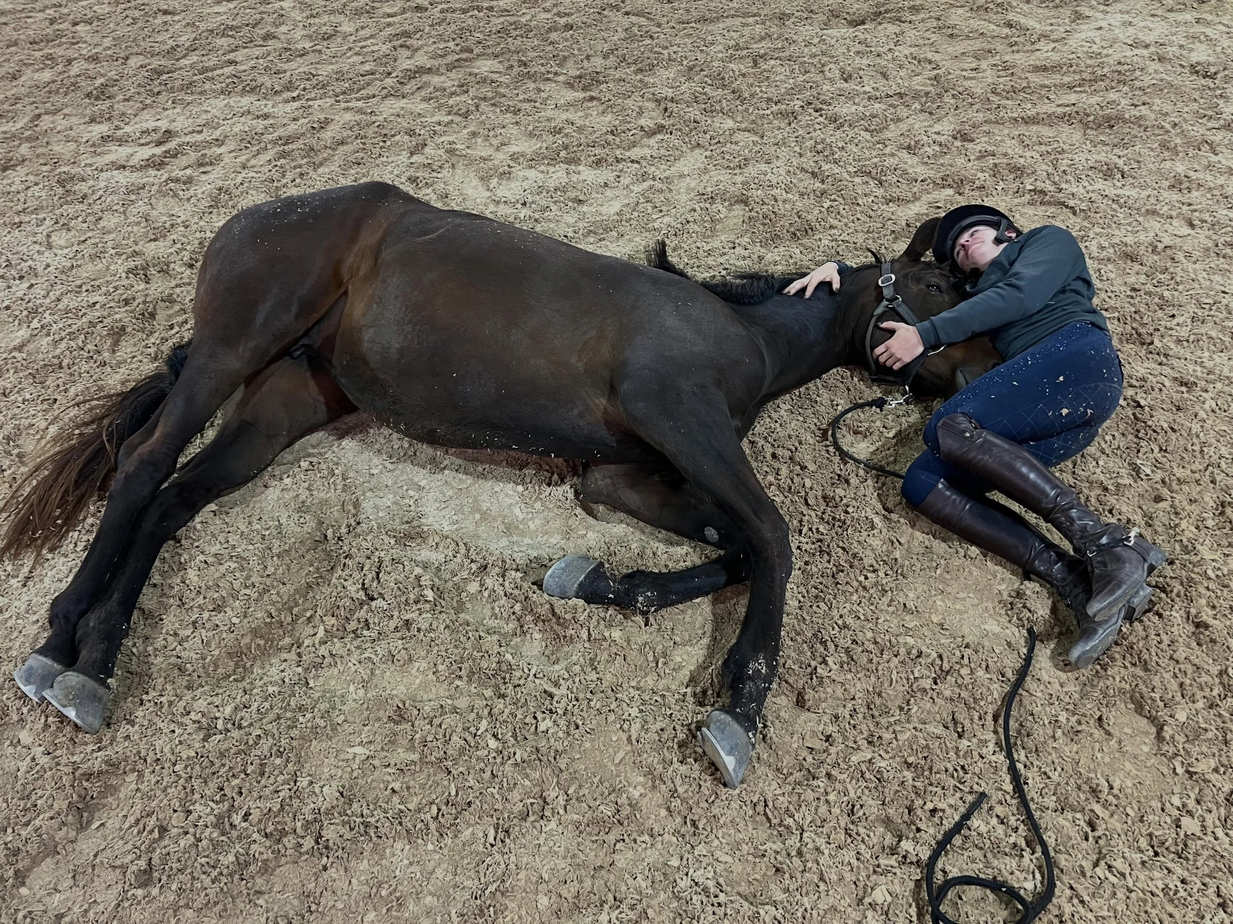 Today was another huge session for Corduroy, an OTTB mare that had some pretty big head trauma from earlier in her life we have been helping her work through. 

She had a bit of a setback in her progress from a head shakers episode that lasted severa