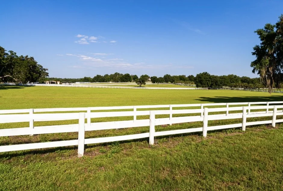 A7893C5F-DDC8-4153-8B65-8FD4E69759C7 2.JPG