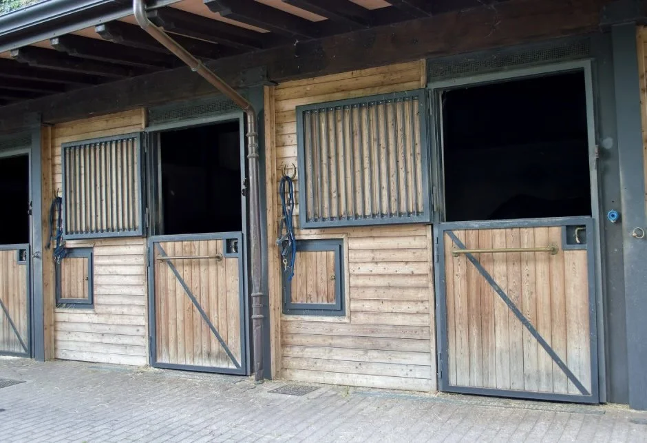 C3D4F547-0318-492F-90DA-8BFE65339DFD 2.JPG