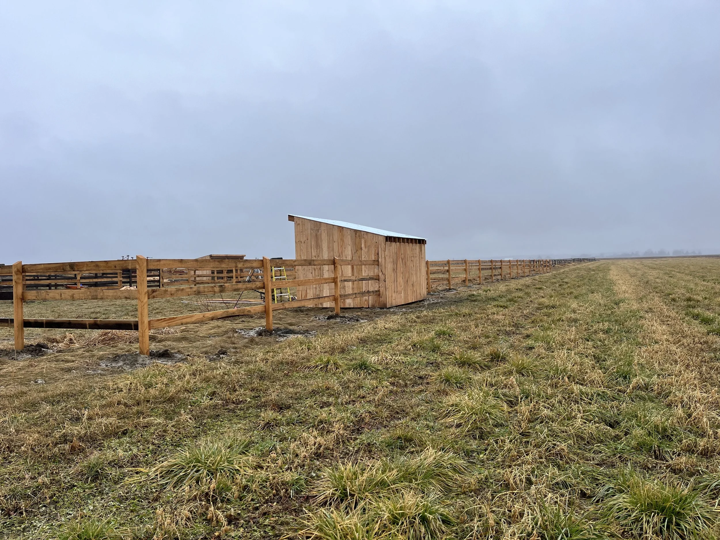 Pro-Nord Clôture, clôture en bois de pruche