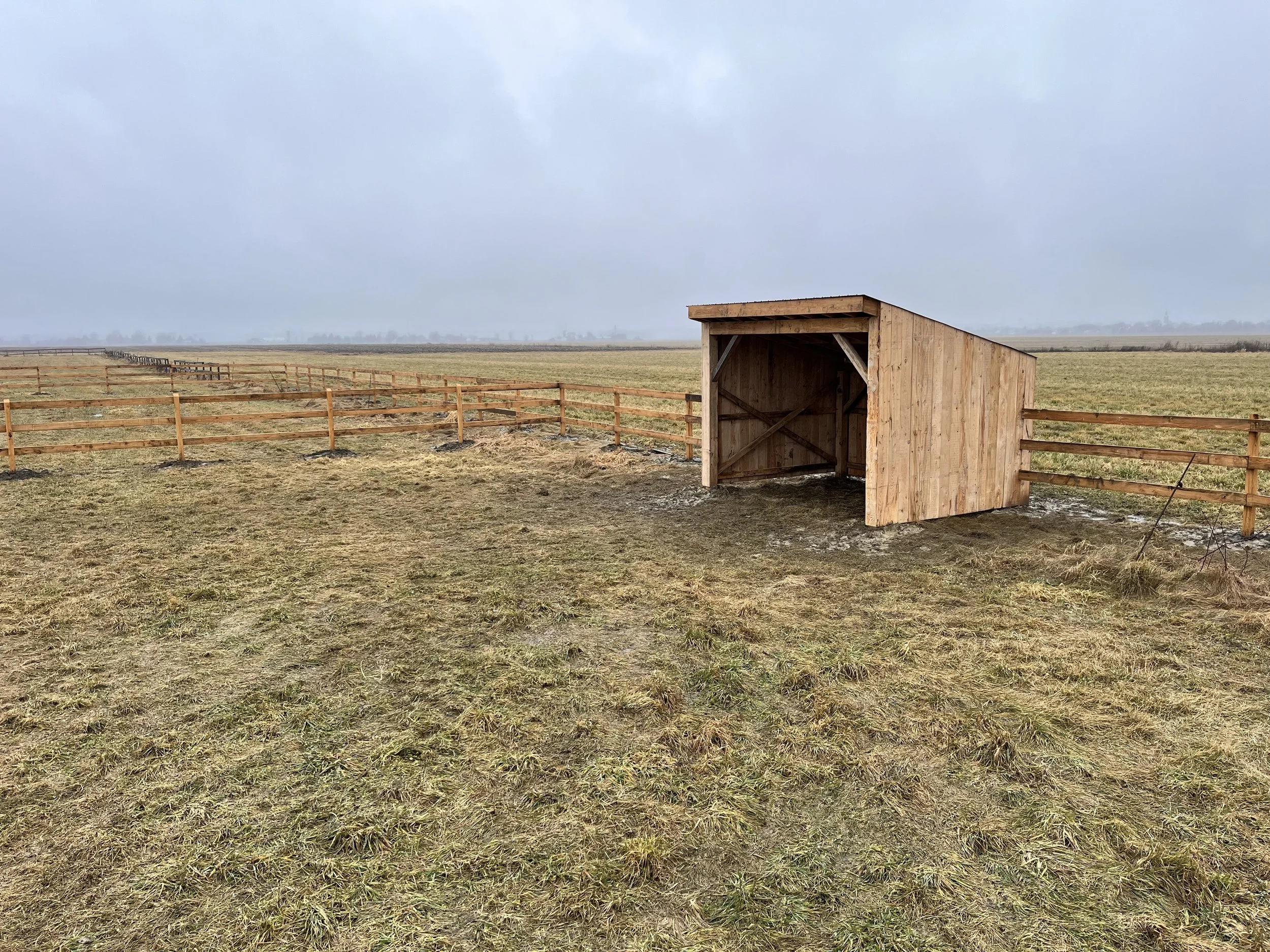 Pro-Nord Clôture, cabane en bois de pruche