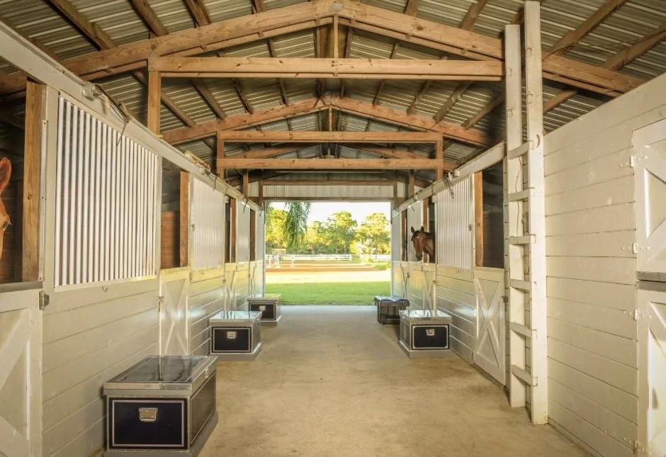 3E06C60A-8569-4754-93F3-C5ACC5AA46C0 2.JPG