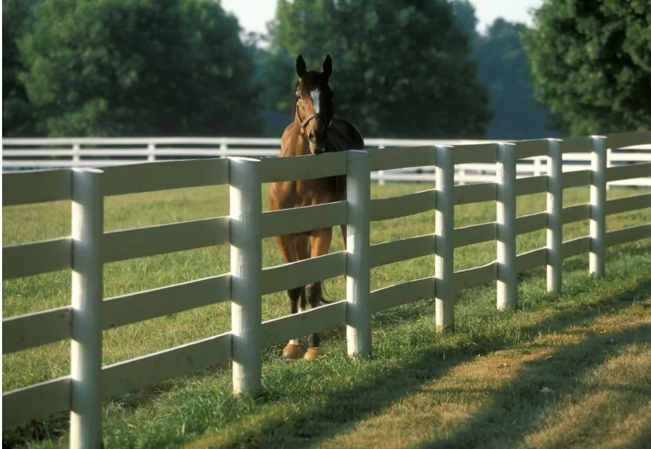 925D6781-908E-4D0C-A6B5-1204AAA504FA 2.JPG