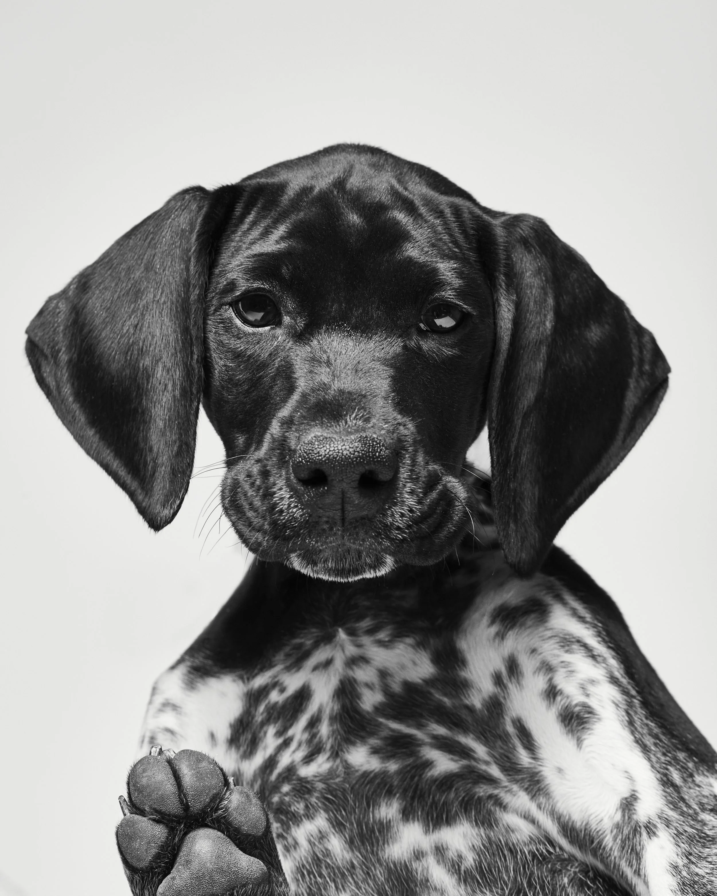 DUTTON_26344 copy.jpg