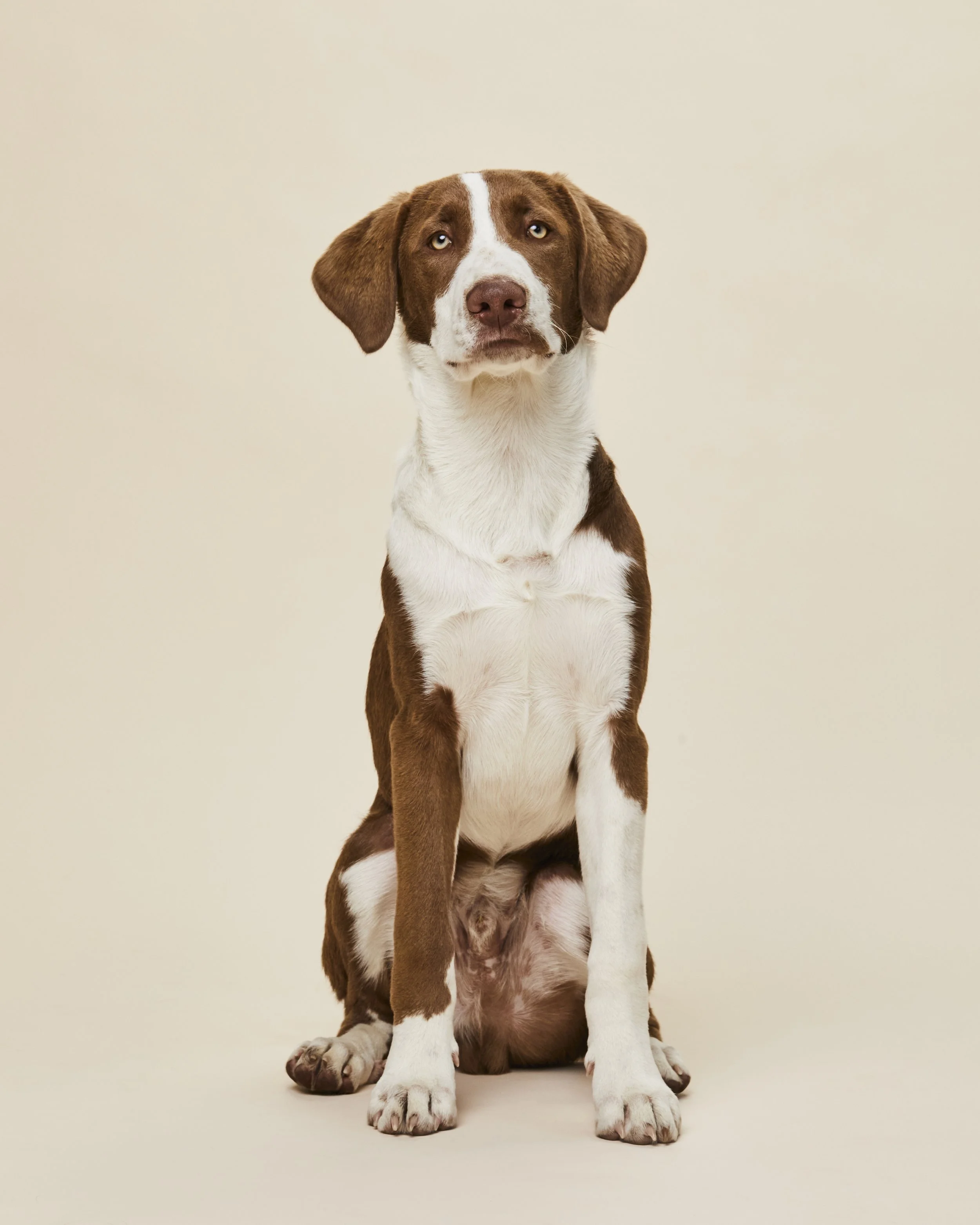 Kennedy+4_28639 copy.jpg