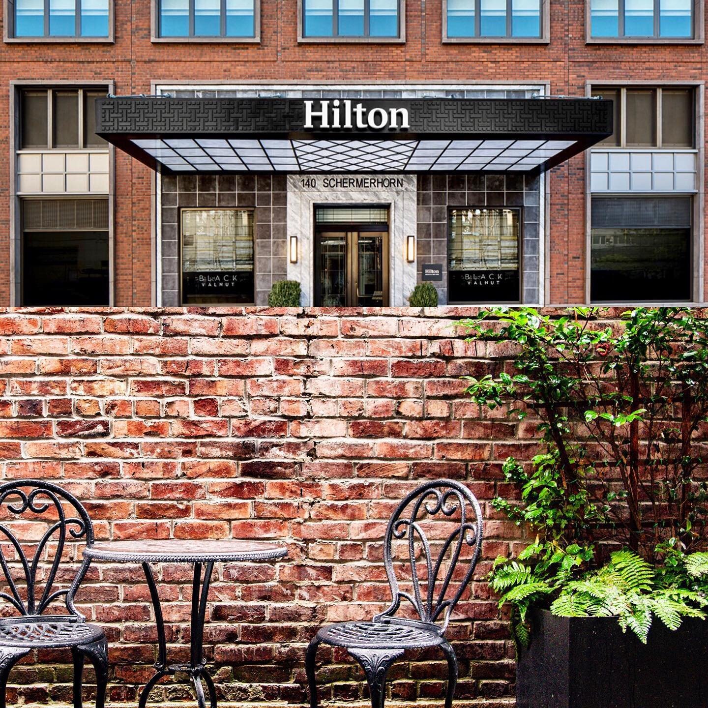 #staytuned #outdoorseating #comingsoon #🌲🌲🌲 #brooklyn #nyc  #hilton