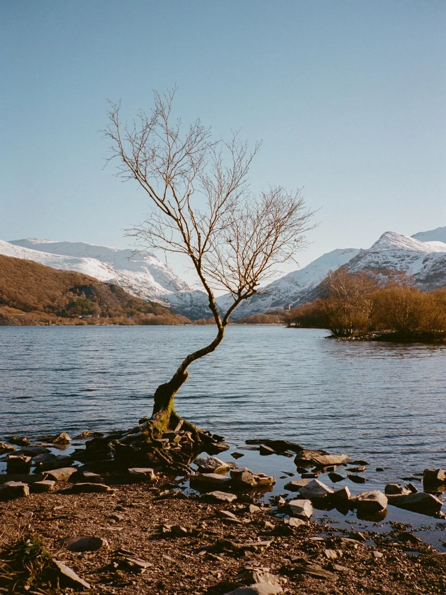 Merry Christmas from our favourite Christmas tree. 

Hope you all have a restful festive break and time outdoors. 🎅🏻&hearts;️