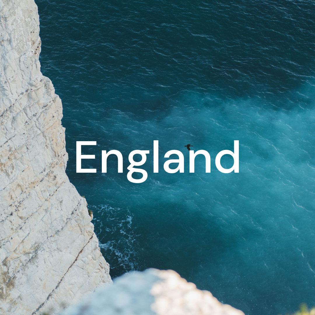 Website Graphics.png