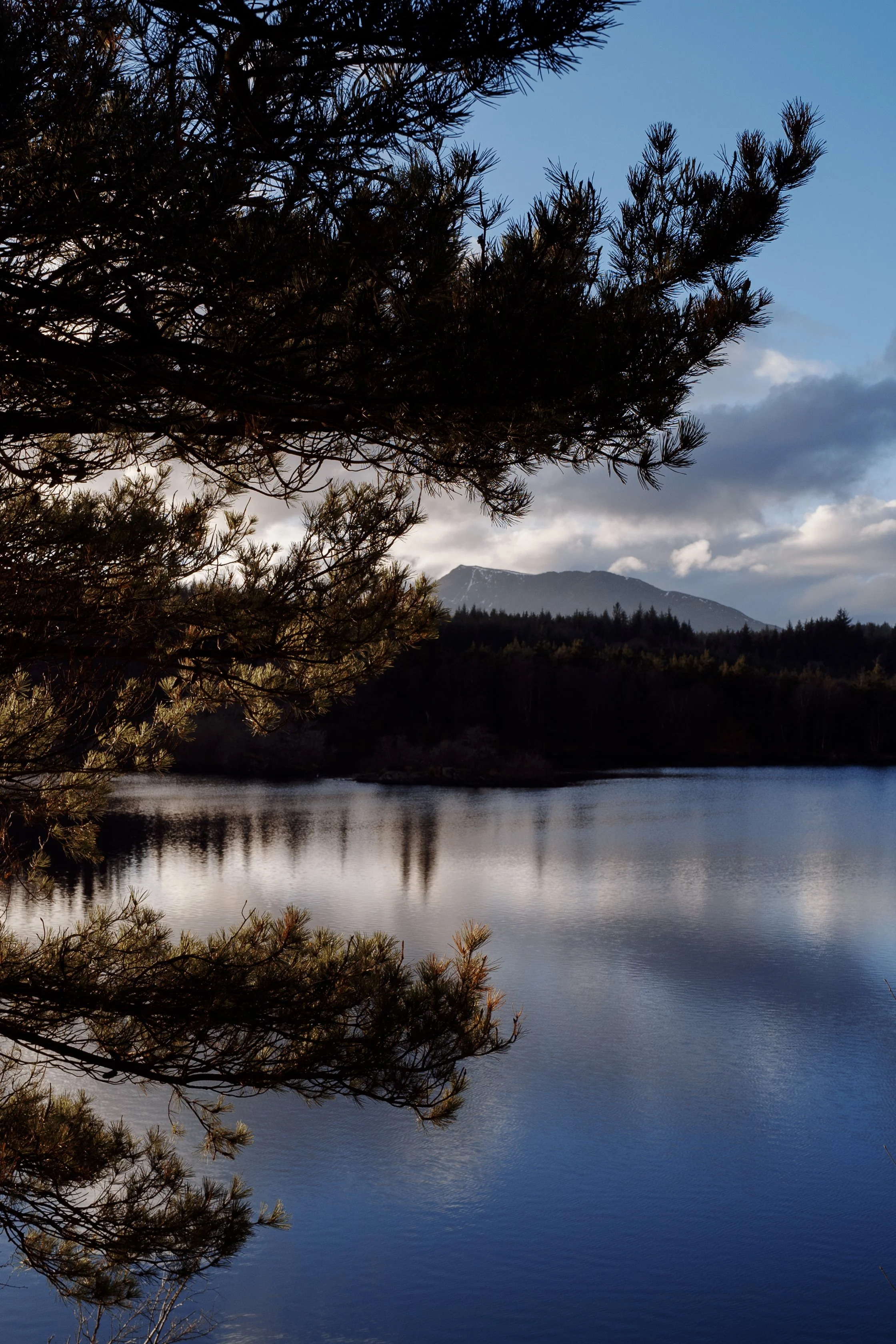 Trail No. 13: Llyn Elsi