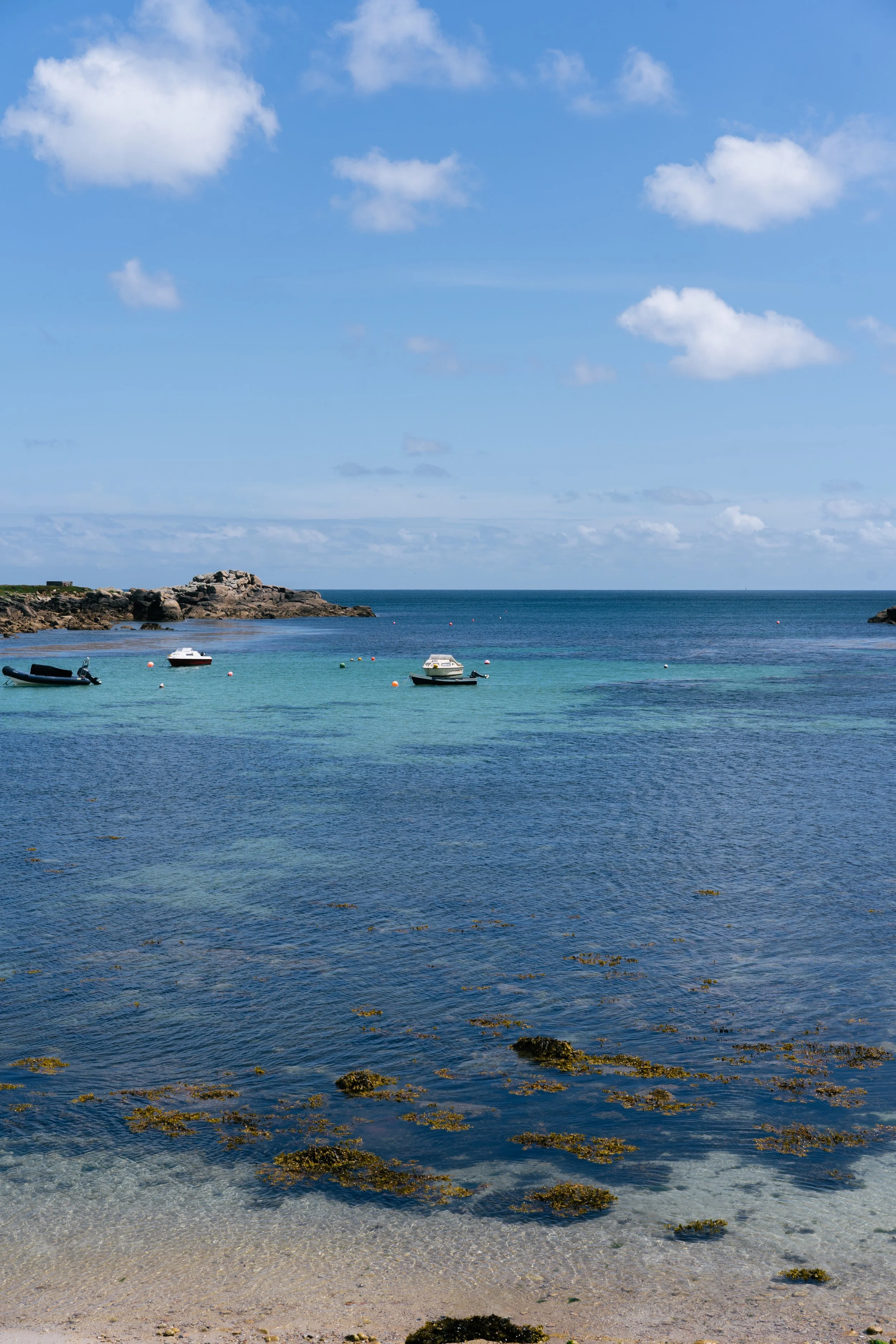 DSC00775.jpg