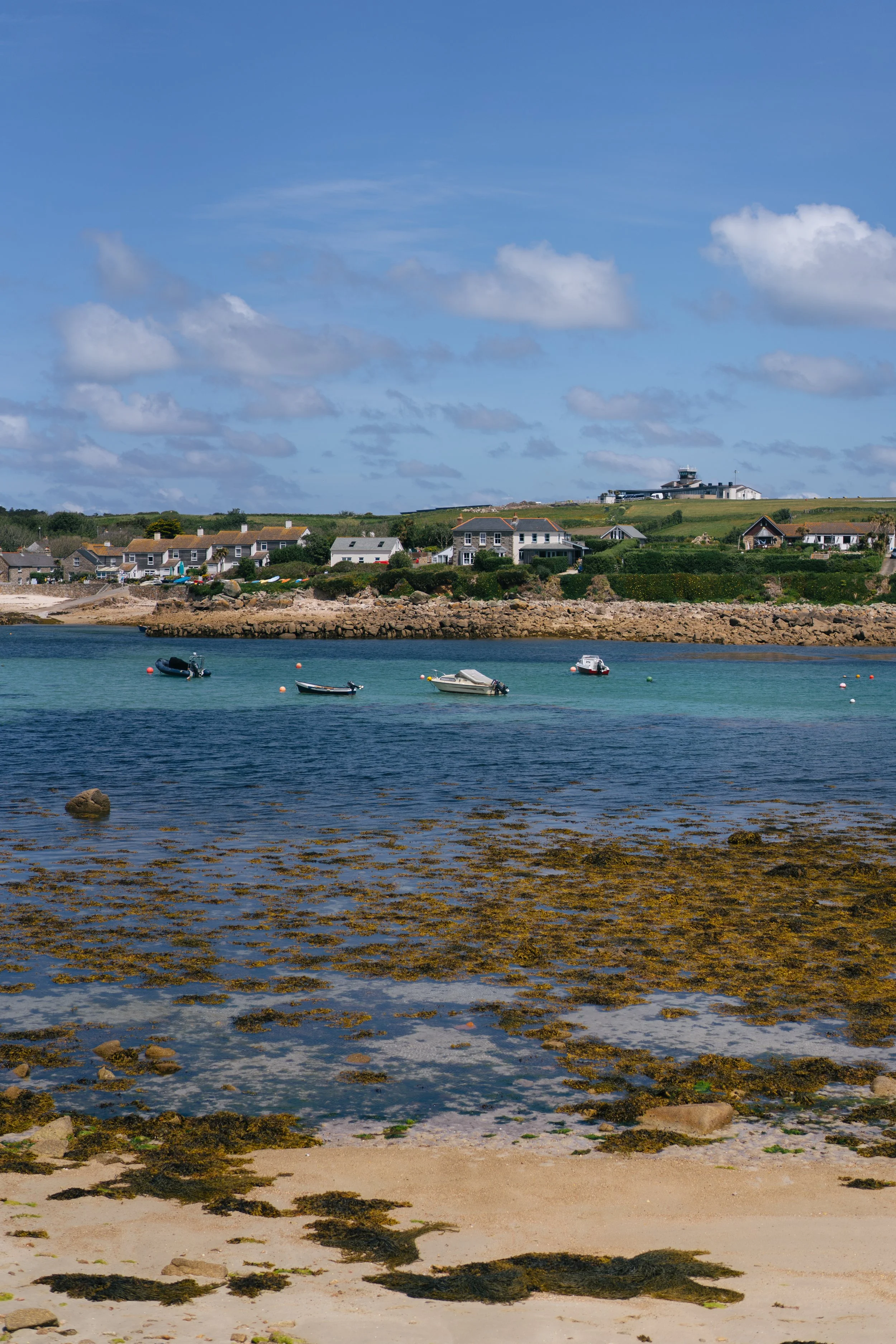 DSC00781.jpg