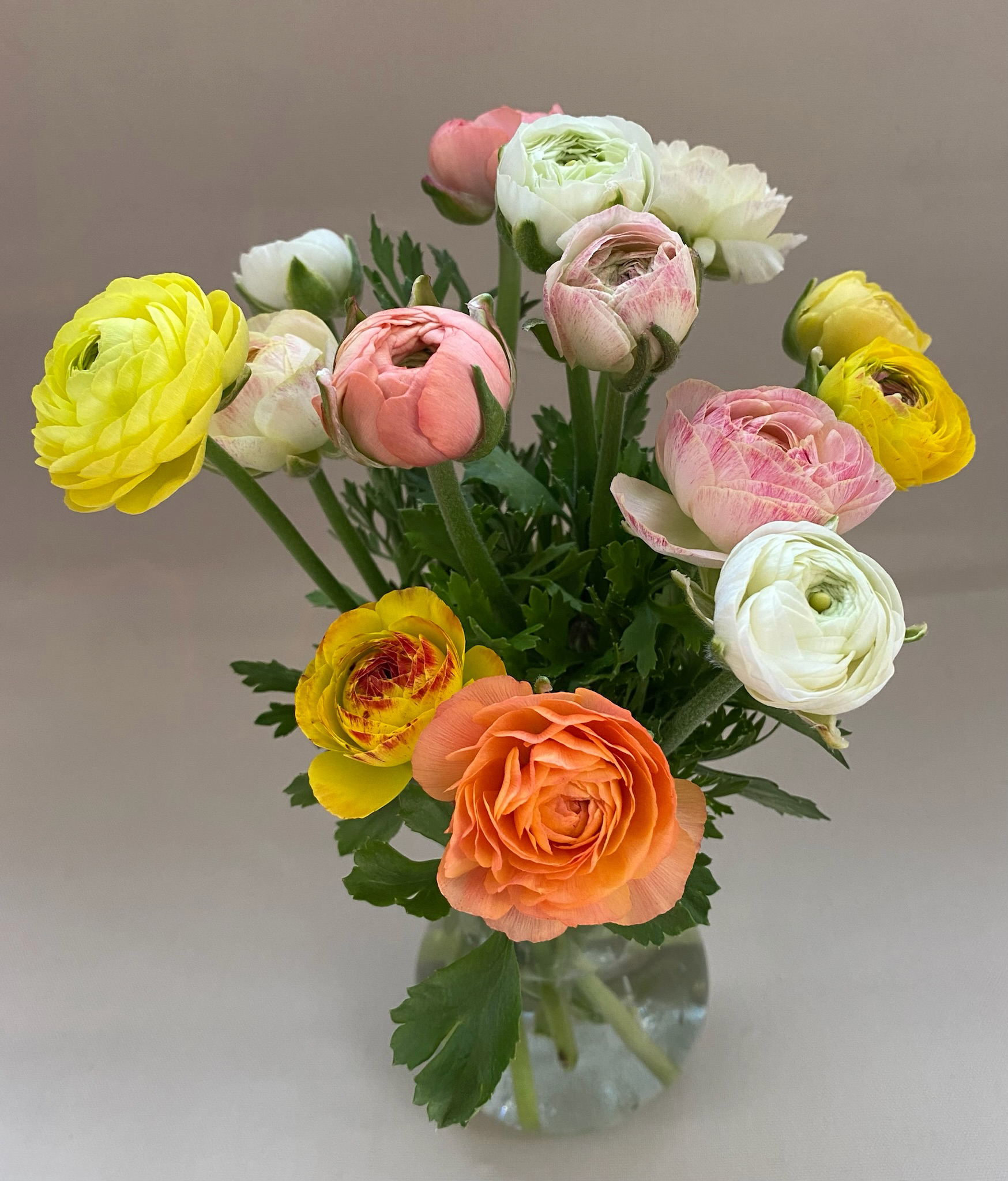 IMG_9060.png