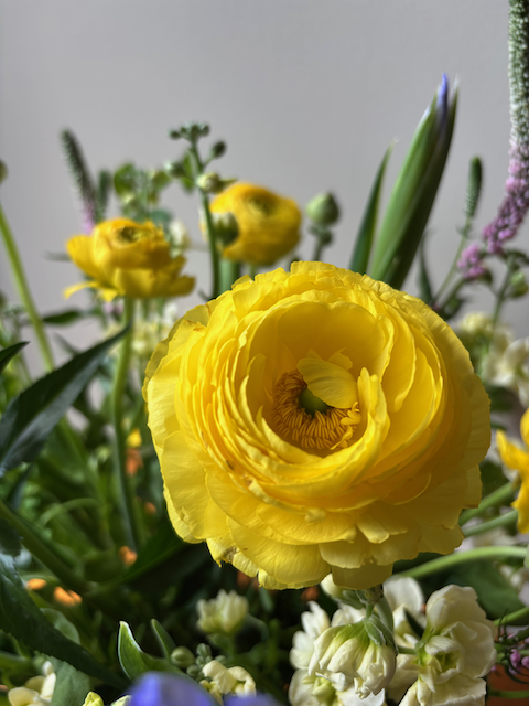 IMG_4868.png