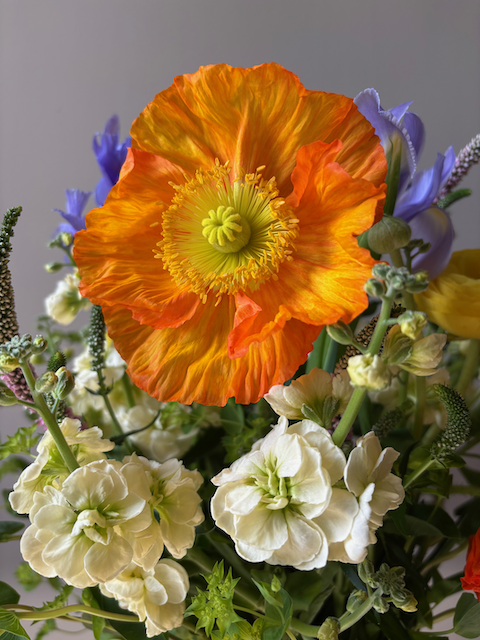 IMG_4897.png