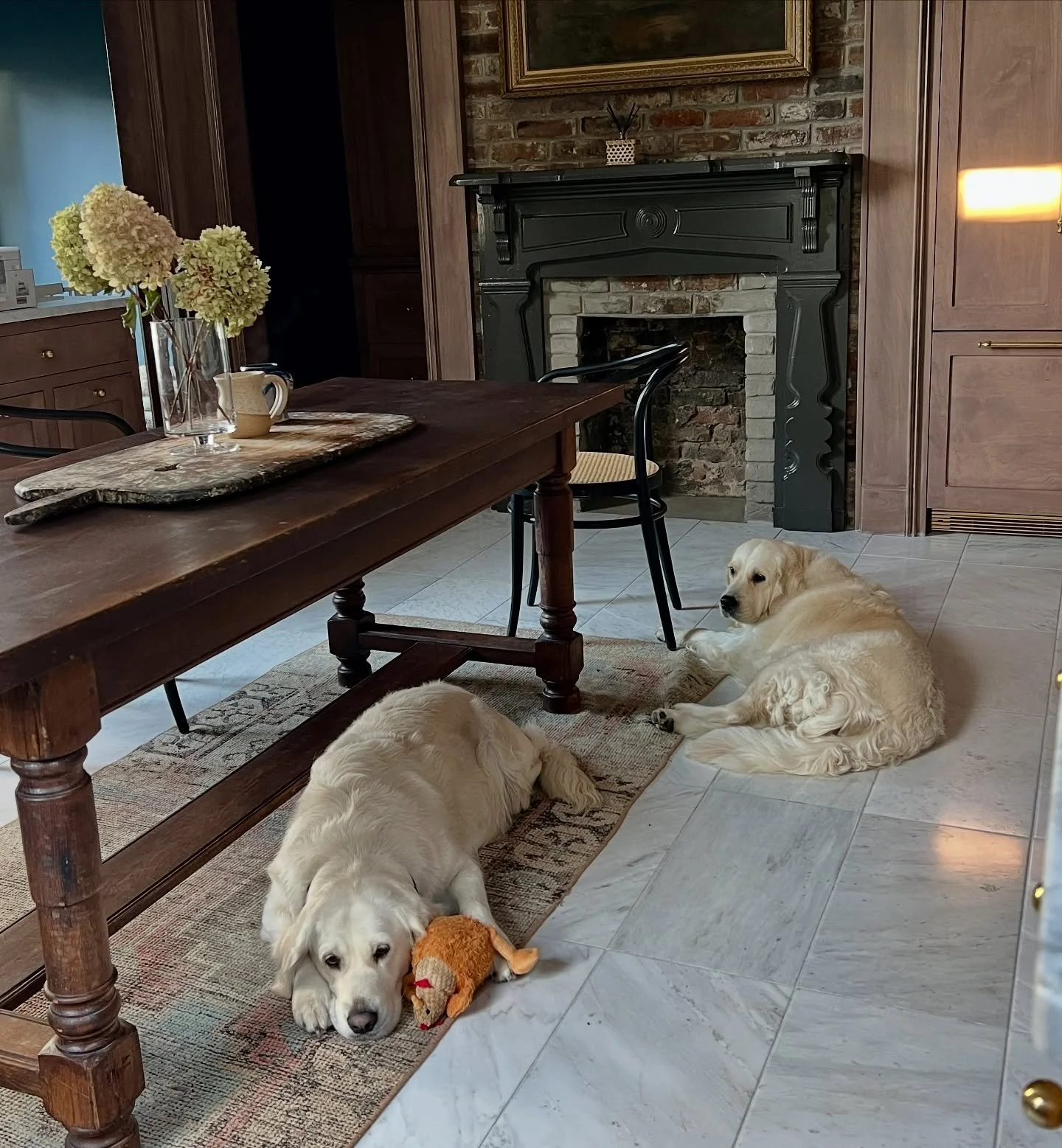 The sweetest girls 💕🦮💕

#yara #evie #sevenspringsgoldens #ecgr #englishgoldenretriever #englishgolden #columbiatn
