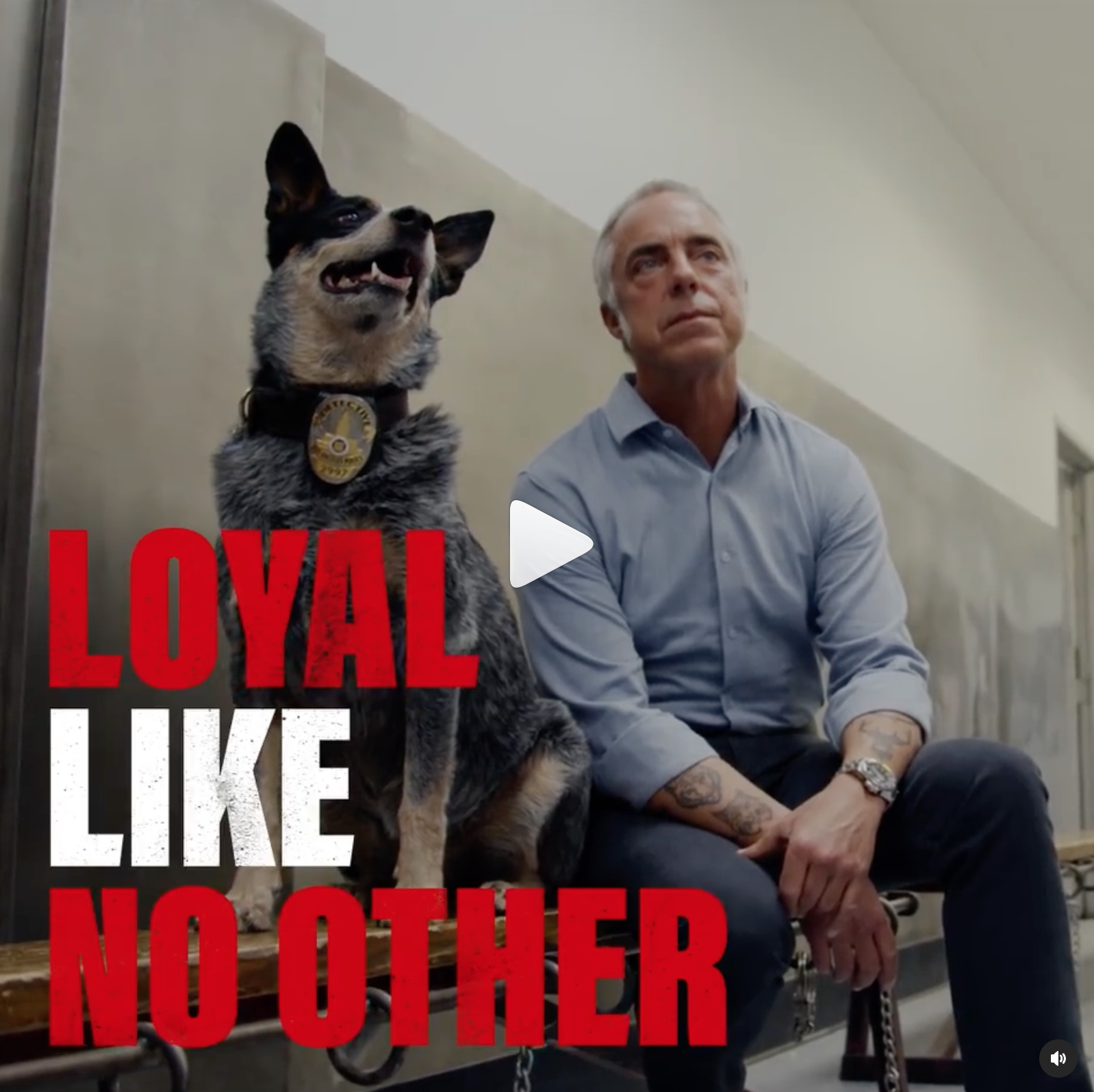 Screen Shot 2023-01-06 at 12.35.26 PM.png