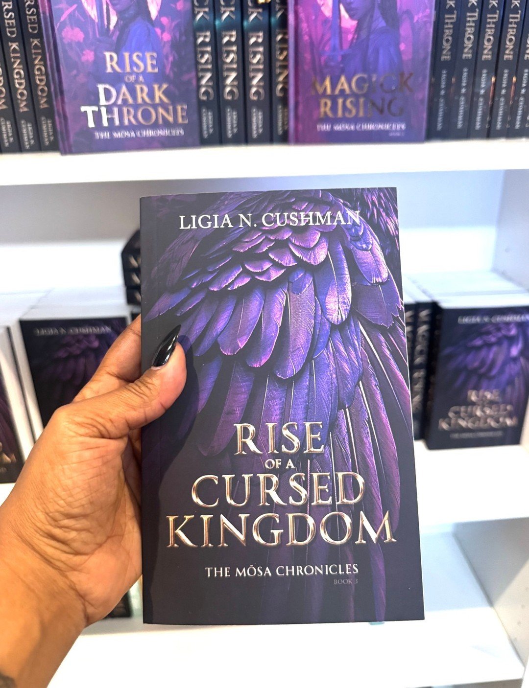 🌟 Imperfect Edition Sale:
For a limited time, I&rsquo;m offering exclusive special edition book boxes and discounted, imperfect paperback editions in my shop. Every purchase will directly support food pantries. Snag unique paperbacks with small prin