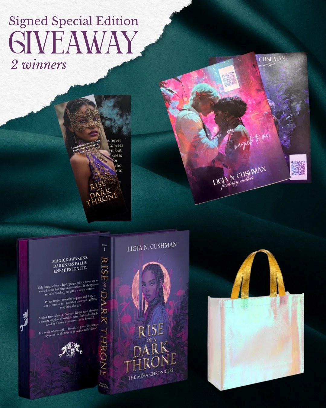 ✨ **BOOKISH GIVEAWAY &mdash; TWO WINNERS!** ✨

To celebrate the season of magic, I&rsquo;m giving away **TWO** gorgeous book boxes filled with dark fantasy goodness 🖤📖

Each winner will receive:
✨ Signed Special Edition copies of Rise of a Dark Thr