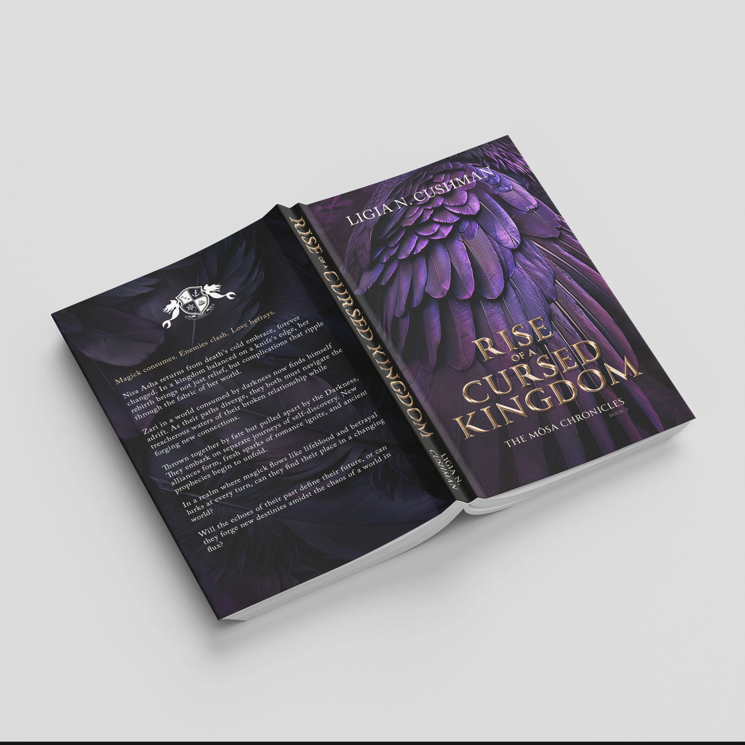 rise-of-a-cursed-kingdom-mosa-chronicles-3.jpg