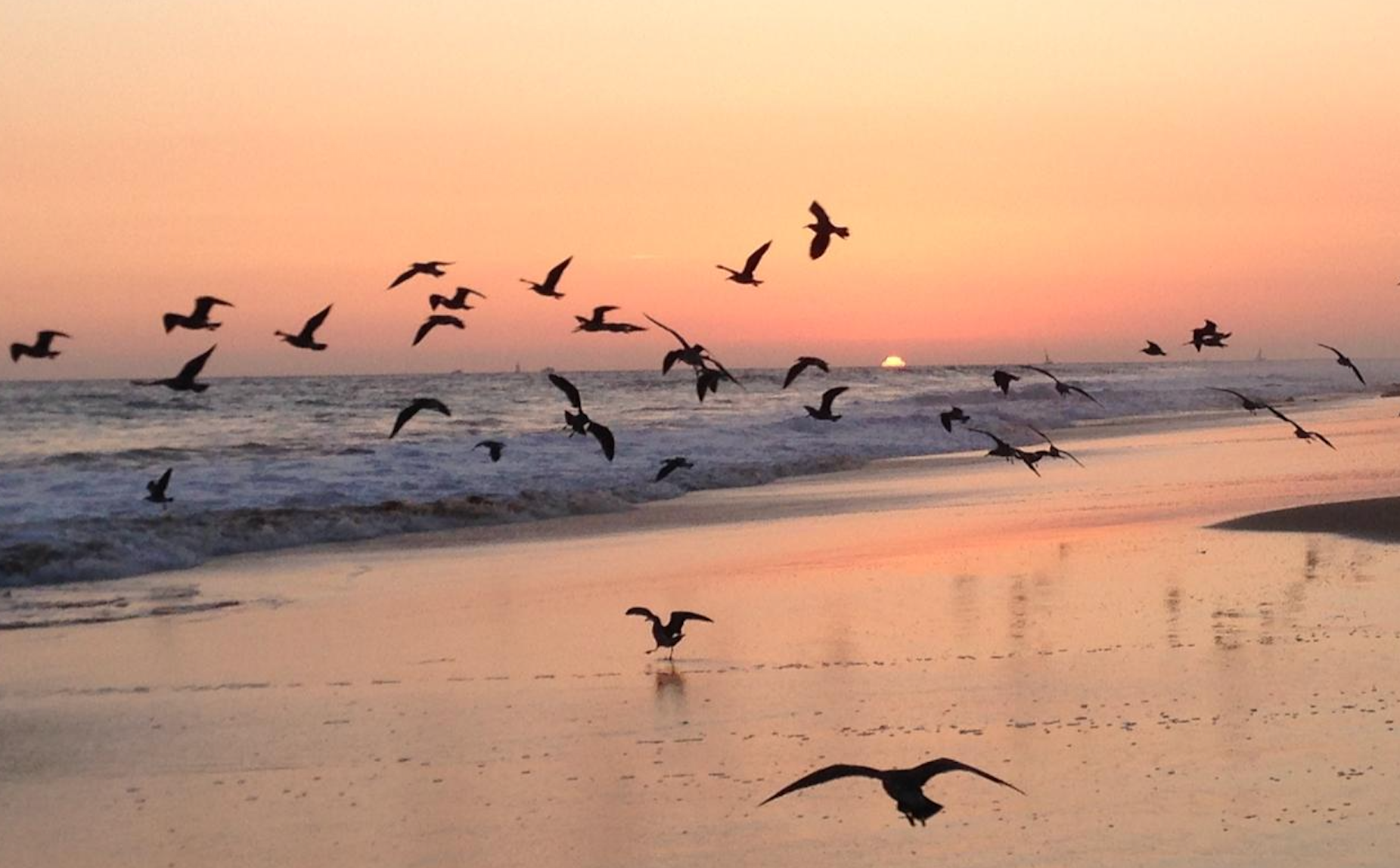 Feng Shui and Chinese Astrology: September 2026