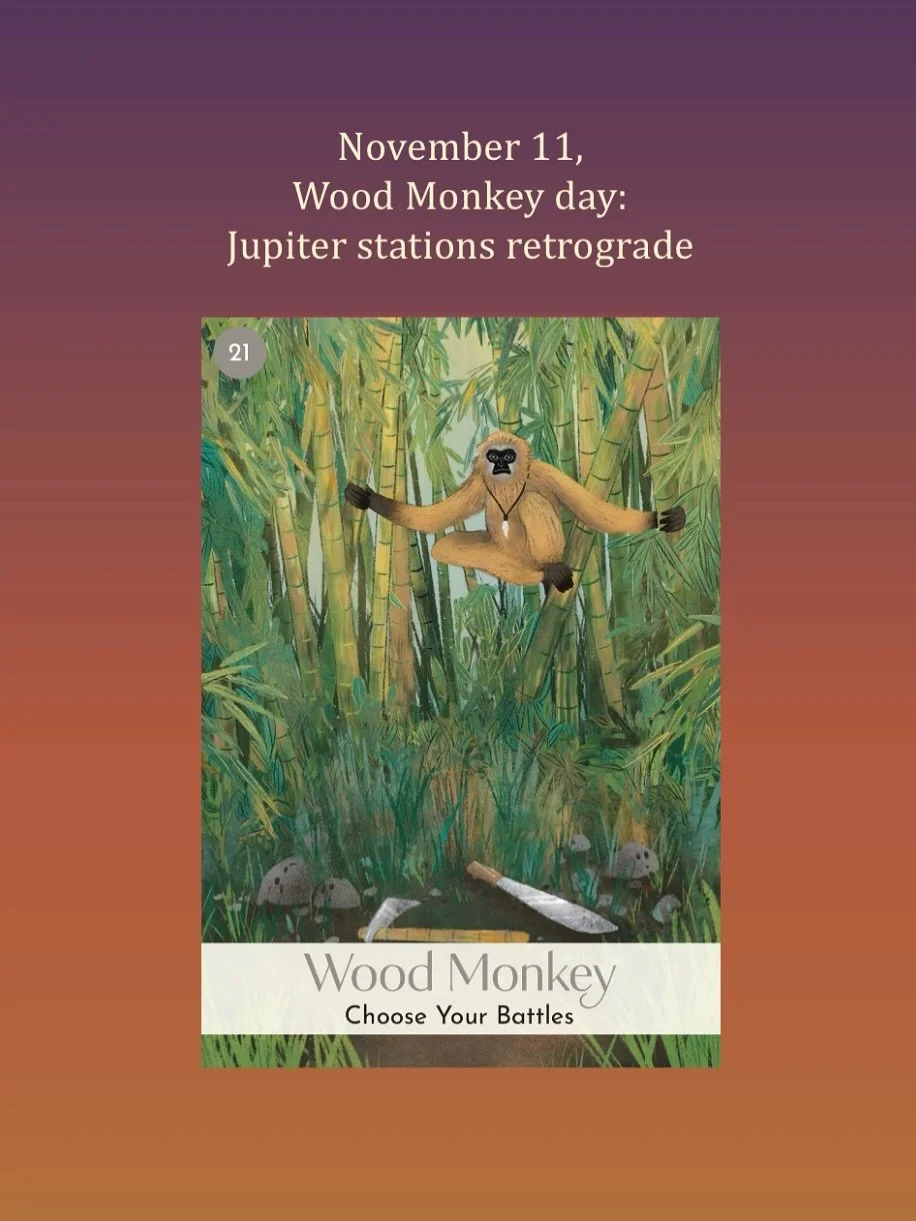 November 11, Wood Monkey day: Jupiter stations retrograde at 25 Cancer. From now to March 10, our focus is on enriching and expanding our inner world. We may review events of the past 3 months with the Wood Monkey in the day taking us back to the Woo