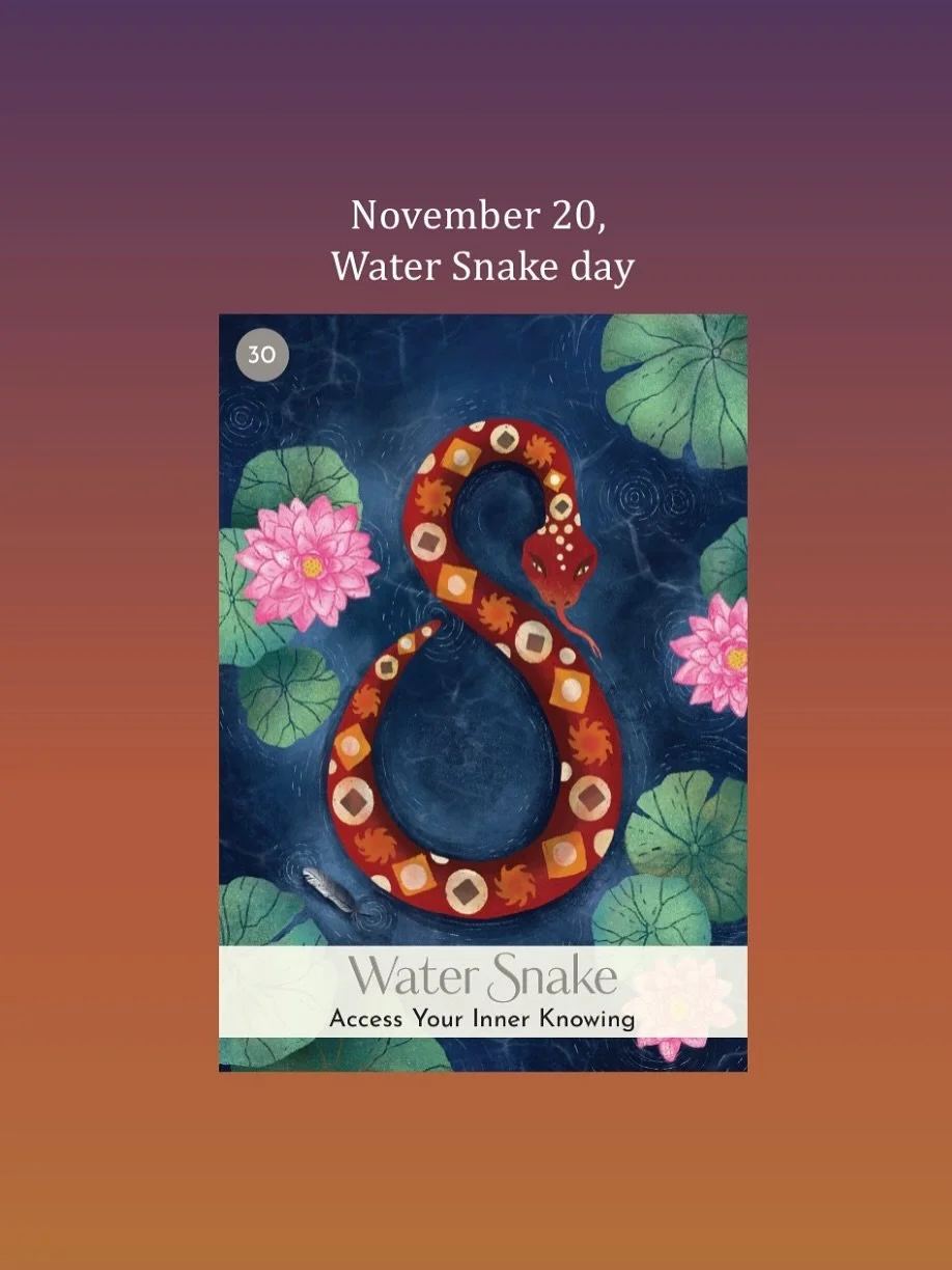 November 20, Water Snake day: take it easy on this Destruction day in the Chinese calendar. We have the Snake opposing the Pig in the month, a clash day in this year&rsquo;s clash month. As travel stars, the Snake and the Pig bring excitement and a f