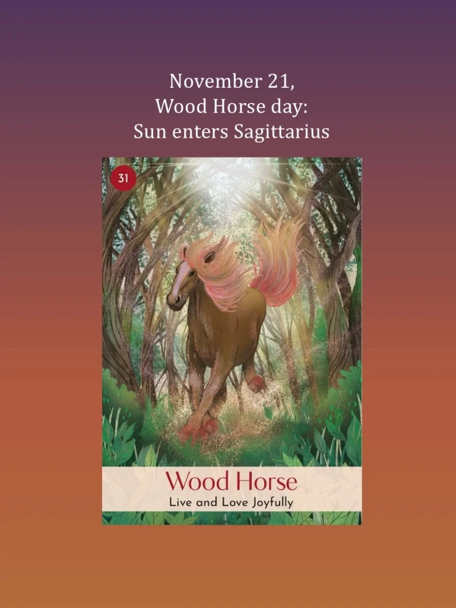 November 21, Wood Horse day takes us into the second half of the Fire Pig month as the Sun crosses 0&deg; Sagittarius. From now to December 21, adventures and travels are even more on our mind,&nbsp;reinforcing the nature of travel star the Pig in th