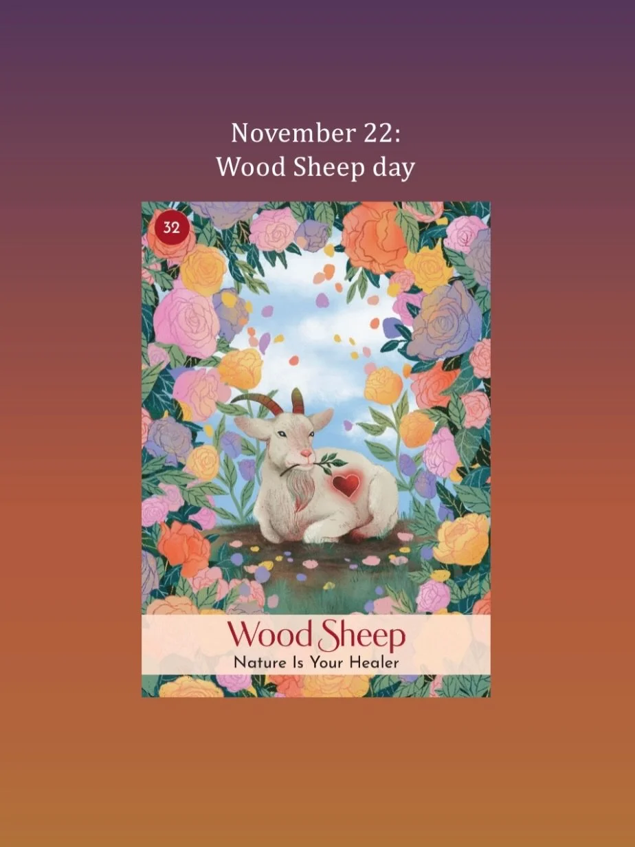 November 22, Wood Sheep day. Yin Wood in the heavenly frequency of the day and the year has an upward, growth-oriented energy, while Yin Earth in the Sheep has a downward, grounding energy.&nbsp;Wood&nbsp;may hold power over Earth, but together they 