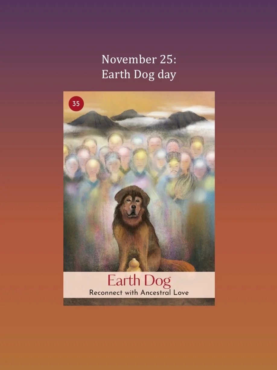 November 25, Earth Dog day. Yang Earth in the heavenly frequency of the day and in the Dog highlights strength and persistence. The&nbsp;Dog&nbsp;as the gatekeeper to the underworld can take us deep into our intuition and the ancestral realm.&nbsp;Tu
