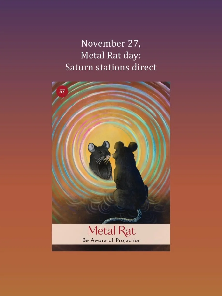 November 27, Metal Rat day. We&rsquo;re in the mood to present the best version of the self with&nbsp;Metal, associated with Venus, in the heavenly frequency of the&nbsp;day. Metal is cold and sharp by nature and can be direct with words, but the&nbs