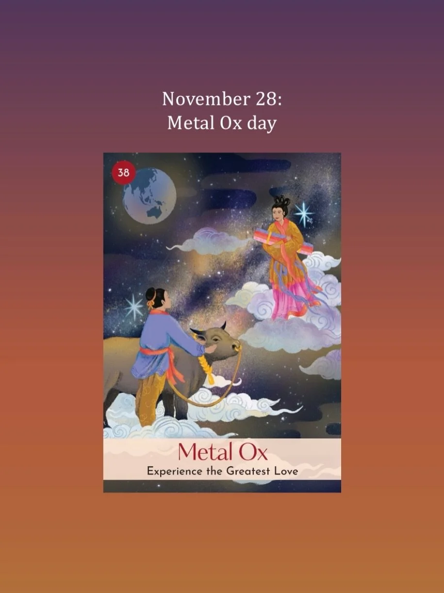 November 28, Metal Ox day: Yin&nbsp;Metal&nbsp;in the heavenly frequency of the&nbsp;day&nbsp;and hidden in the&nbsp;Ox, associated with Venus, heightens our appreciation for beauty and luxury. As a Yin Earth sign, the&nbsp;Ox&nbsp;loves her comfort.