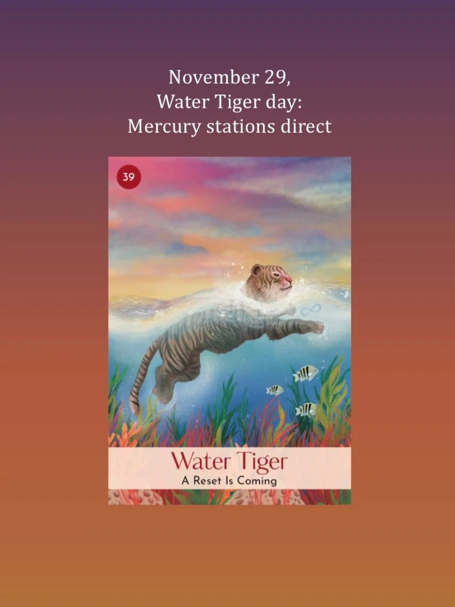 November 29, Water Tiger day. Yang Water in the heavenly frequency of the&nbsp;day highlight active movements and communication. Water&nbsp;as the element associated with Mercury quickens our pace, thoughts, and conversations, but with Mercury statio
