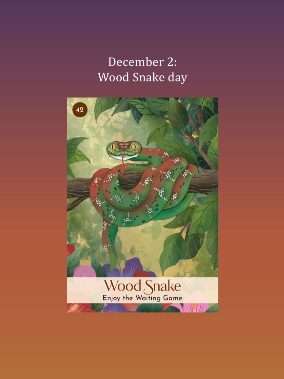December 2, Wood Snake day in Wood Snake year highlights the ongoing themes of the year. As we&rsquo;re about to enter the last two months of the Wood Snake year, this is an ideal time to consider what milestone you&rsquo;d like to achieve before the