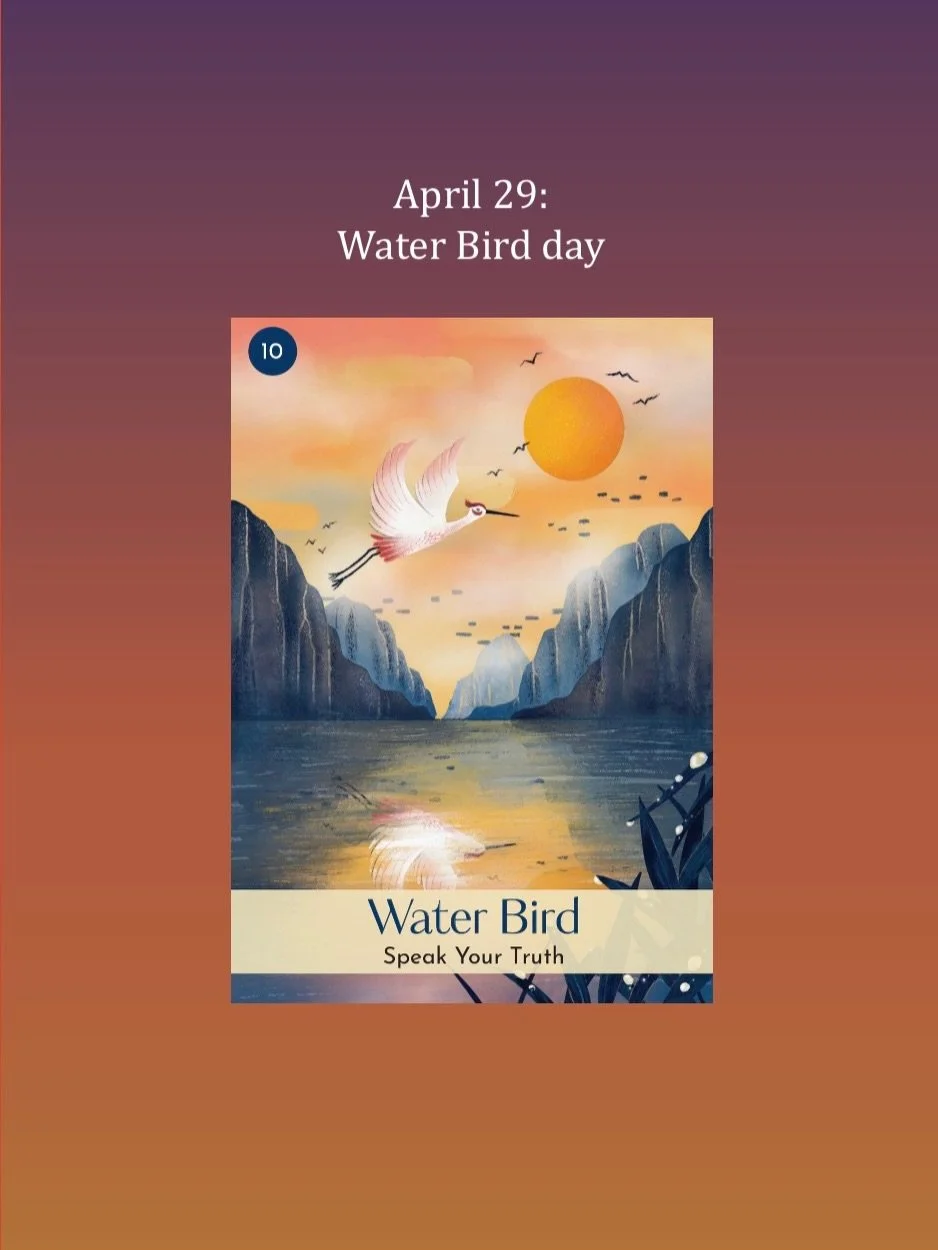 April 29, Water Bird day. See the last slide for more blessings 💦