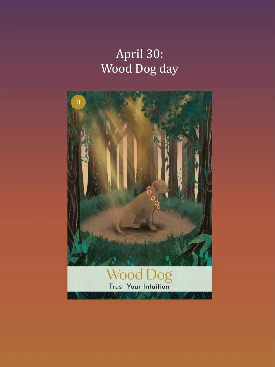 April 30 is Wood Dog day. 

*Videos will be back tomorrow.