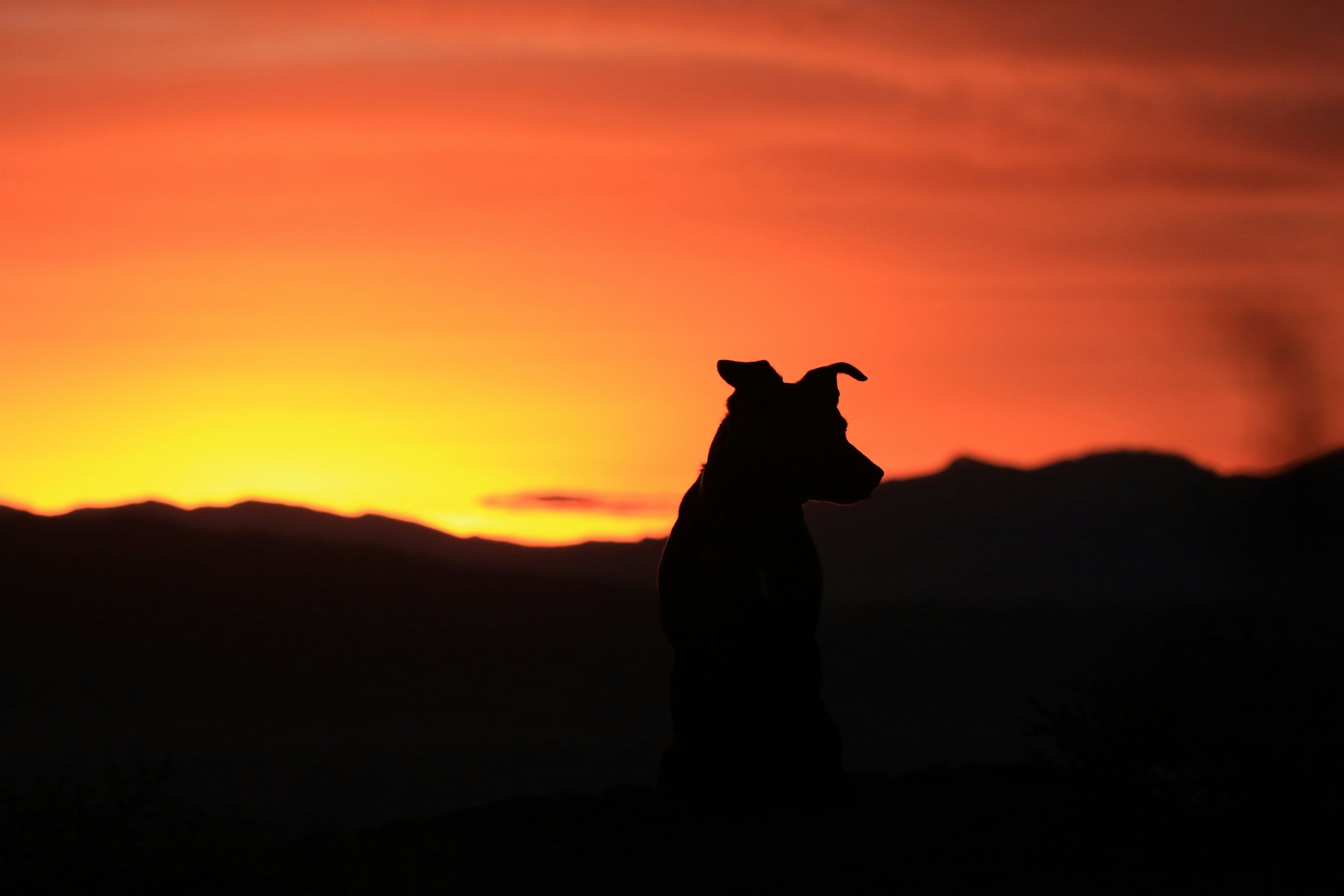 Feng Shui and Chinese Astrology: October 2026