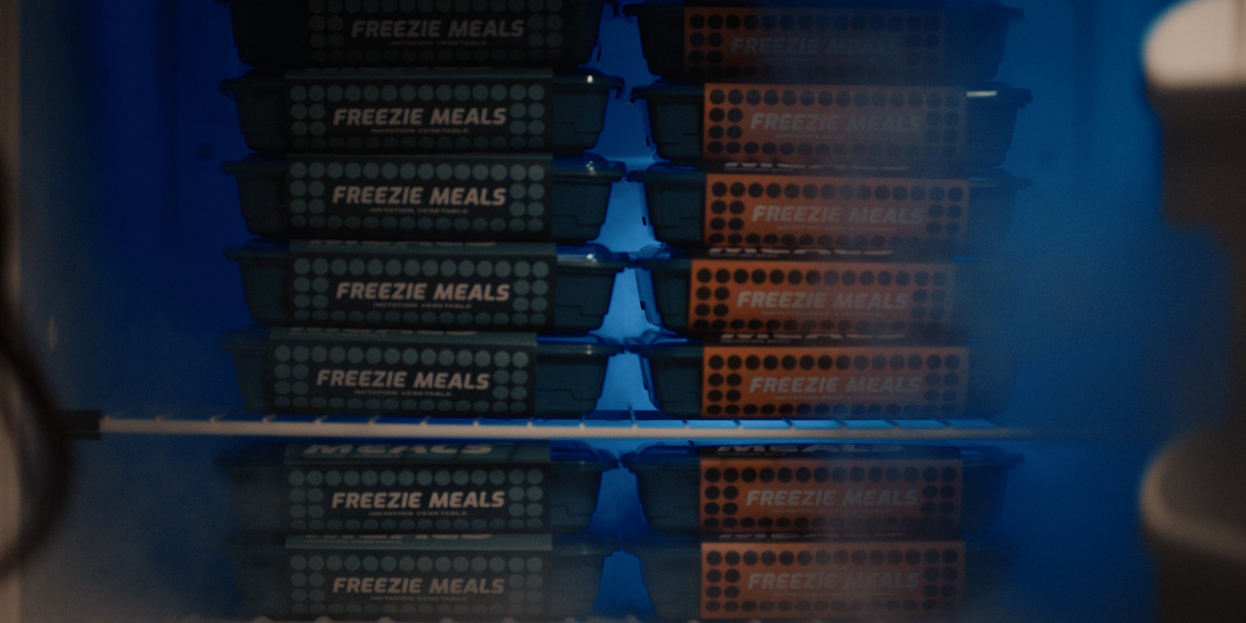20230115- Sc 4 Freezie Meals WS.jpg